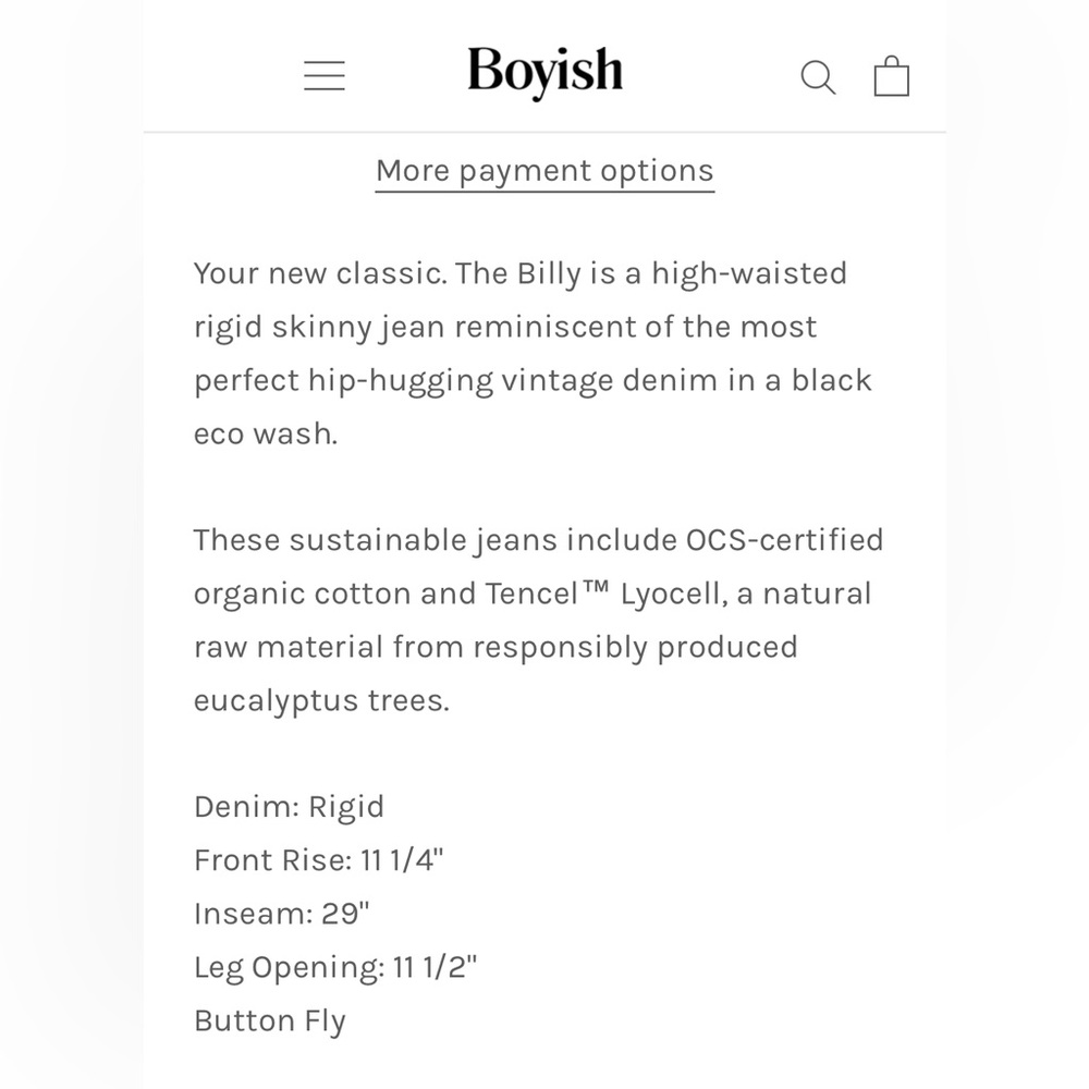 BOYISH x Free People - The Billy High Waisted Vintage Skinny Jean - Picture 3 of 9